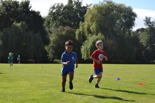 Thumb photo 205327